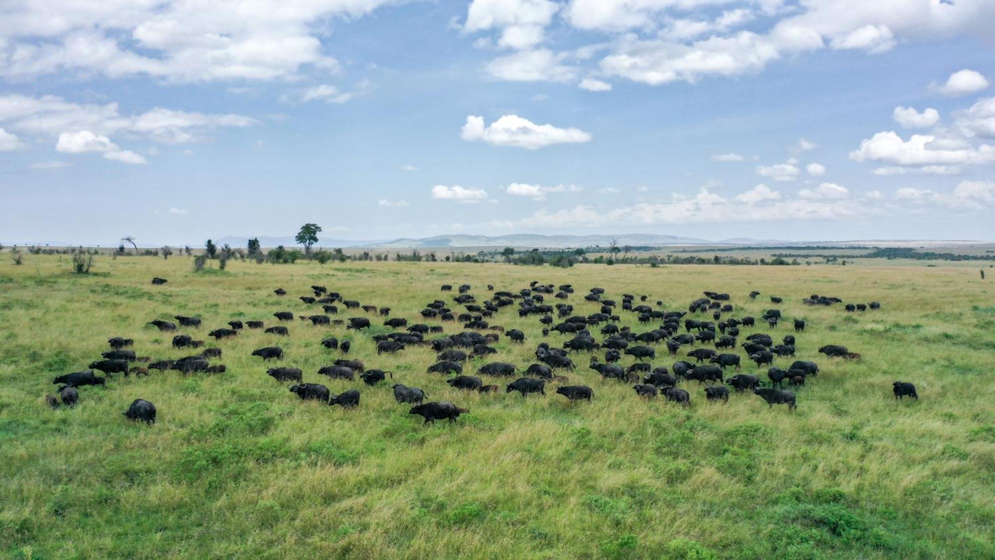 Sentrim Mara Lodge Ololaimutiek Buitenkant foto