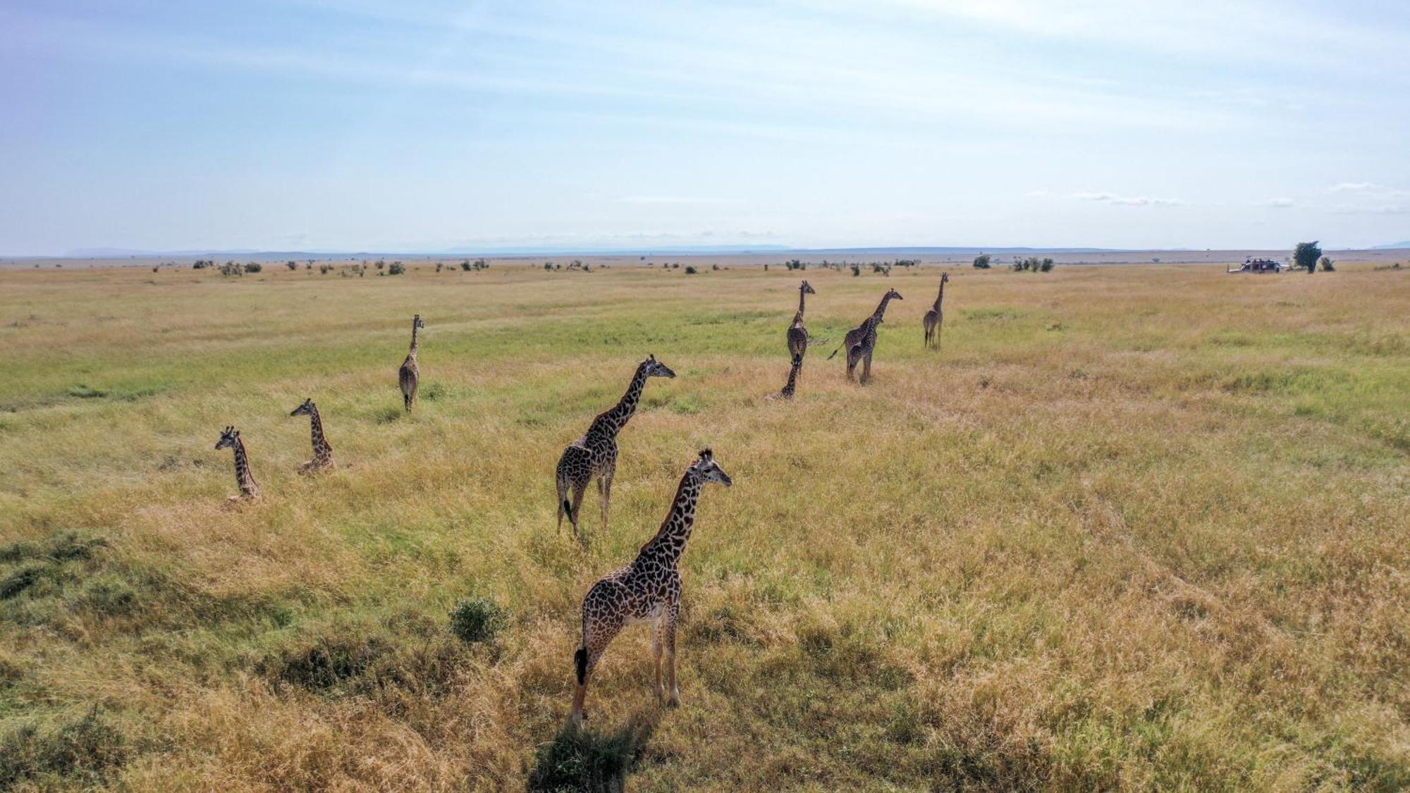 Sentrim Mara Lodge Ololaimutiek Buitenkant foto